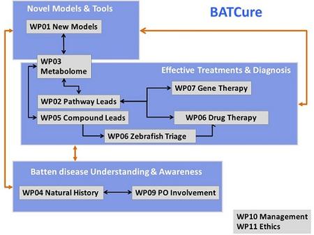 WPs diagram